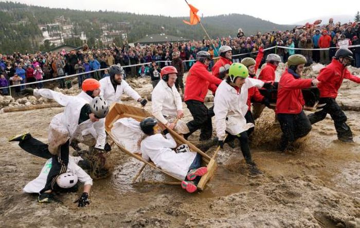 Подборка прикольных картинок