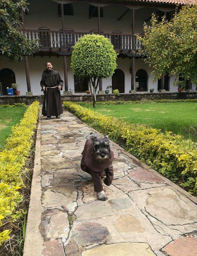 Бродячий песик вступил в ряды монахов боливийского монастыря