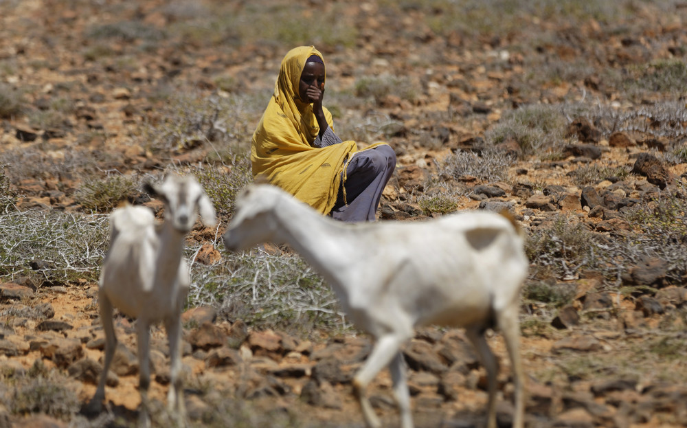 Убийственная засуха в Сомали
