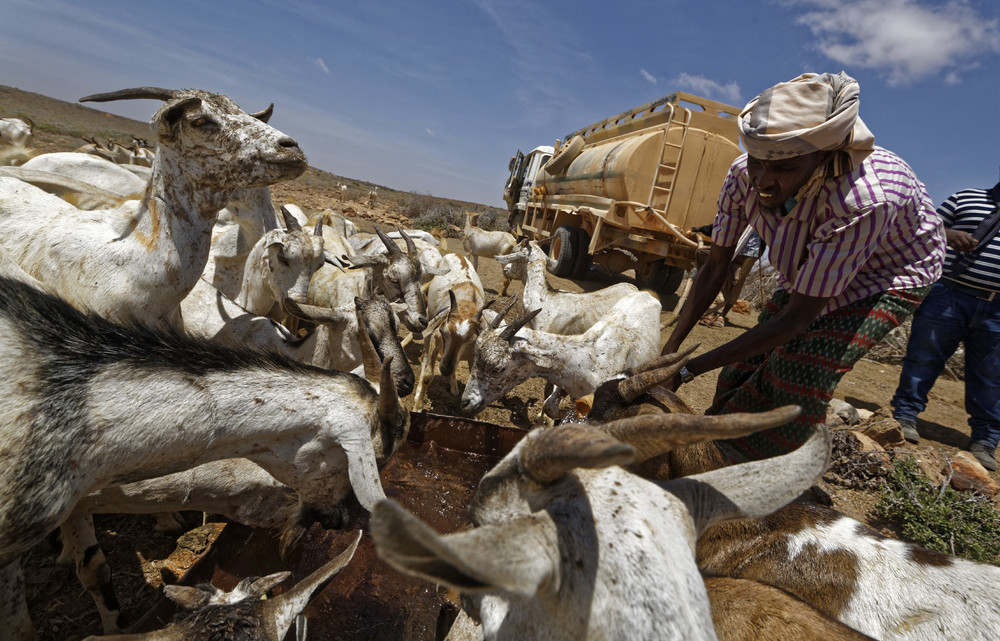 Убийственная засуха в Сомали