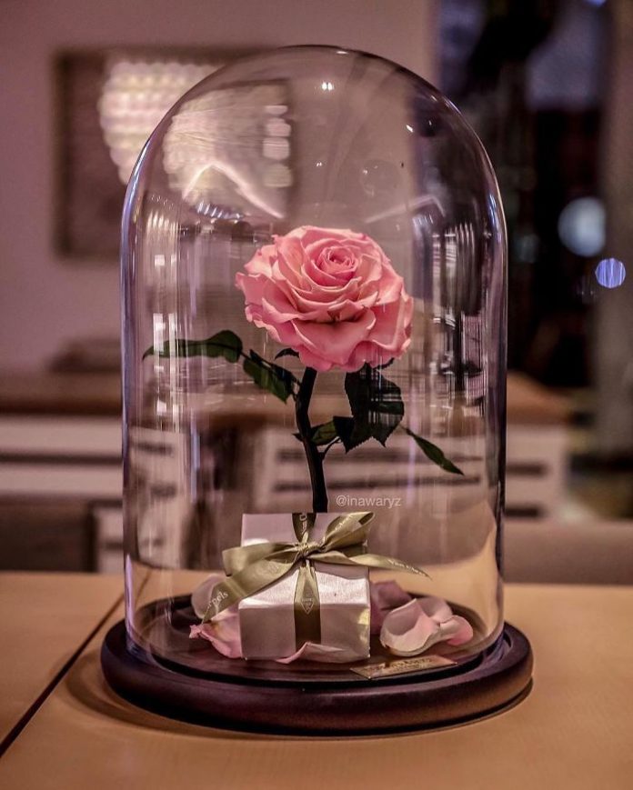 Заколдованные розы в стеклянном контейнере