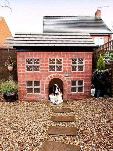 Крутой домик для собаки