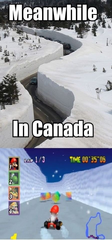 Прикольные фото из Канады