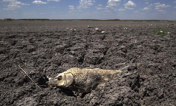 Засуха в Техасе