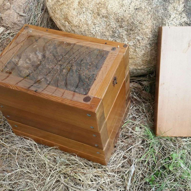 Странные пчёлы в ящике со счётчиком воды