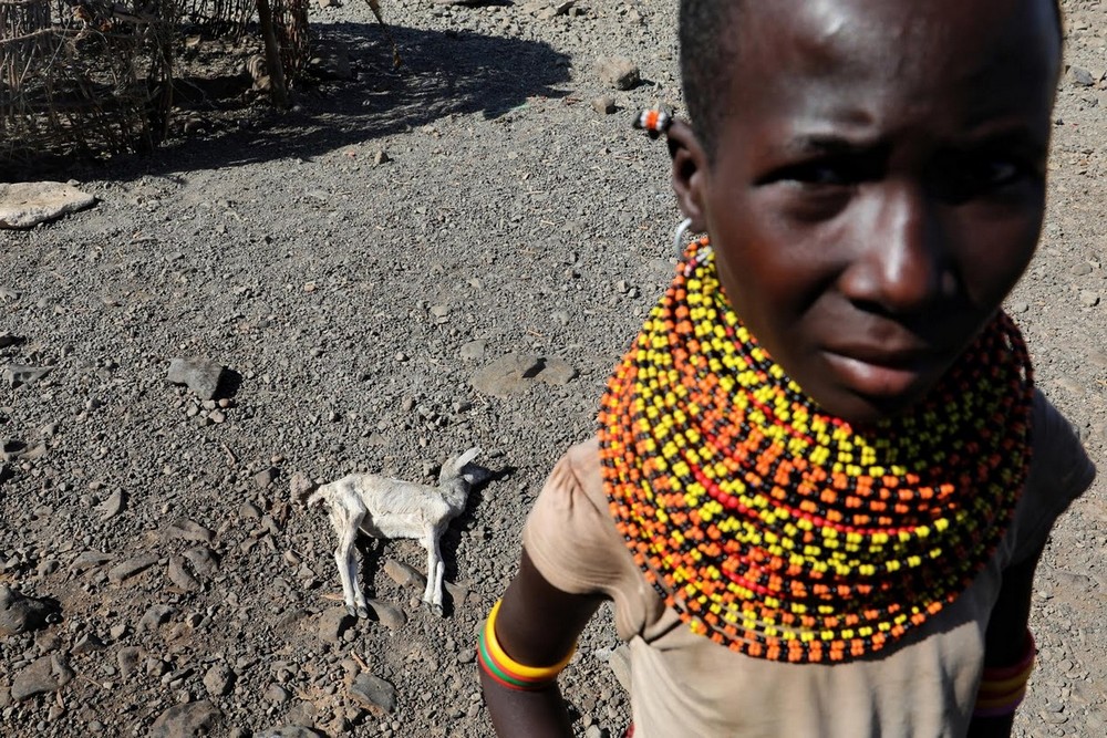 Кенийцы жгут трупы животных, чтобы избежать эпидемии