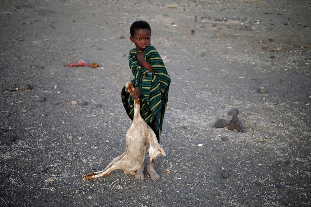 Кенийцы жгут трупы животных, чтобы избежать эпидемии