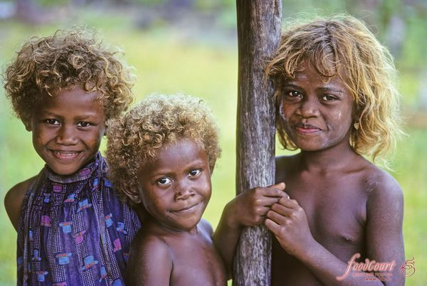 Чернокожие блондины из Меланезии