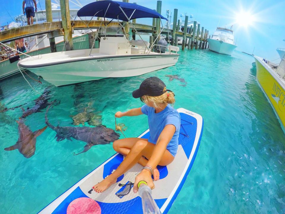 Студентка избавилась от депрессии, общаясь с акулами, скатами и свиньями на Багамах