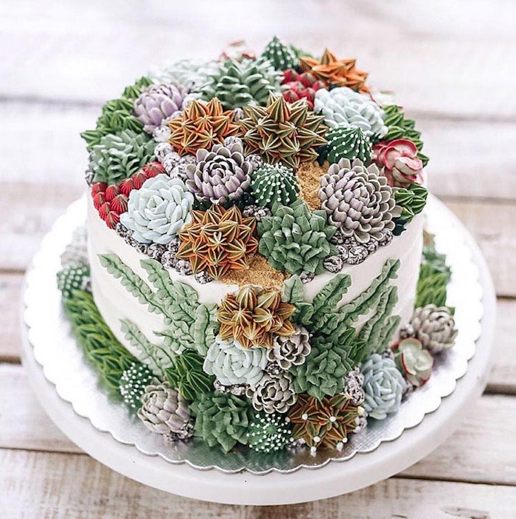 Удивительные торты и пирожные, украшенные кактусами и суккулентами