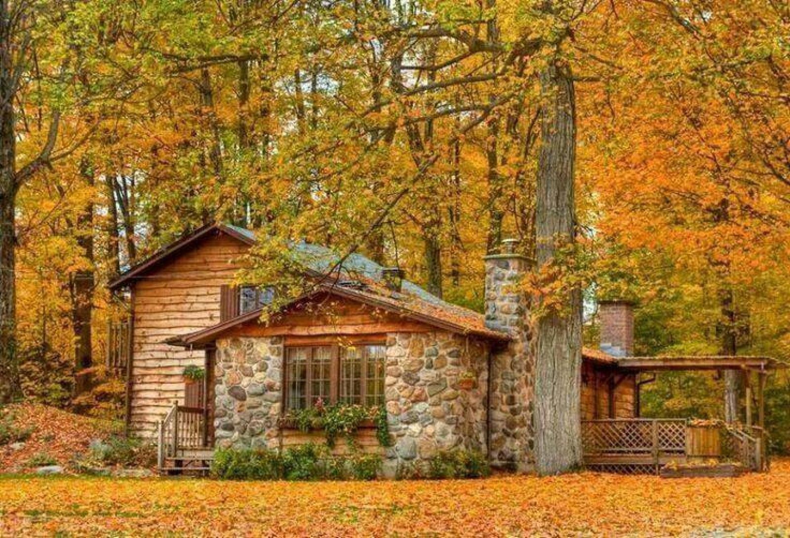 Дом в осеннем лесу
