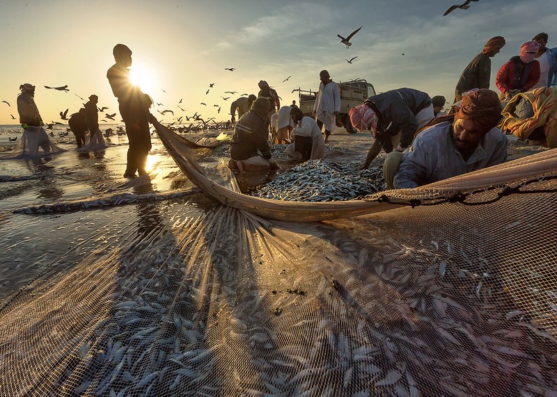 Рыбаки Омана на колоритных снимках