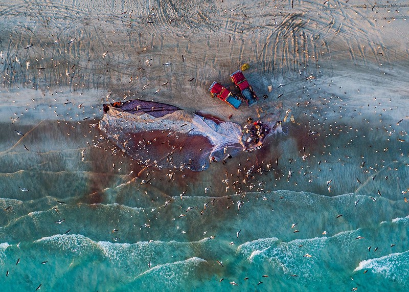 Рыбаки Омана на колоритных снимках
