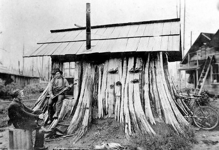 Необычные жилища американских поселенцев XIX века