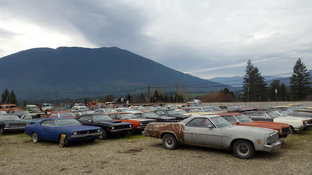 Канадец продает коллекцию из 340 раритетных автомобилей