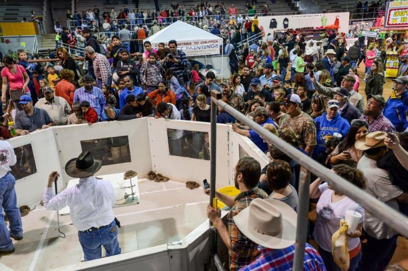 Техасский фестиваль, на котором убивают тысячи гремучих змей
