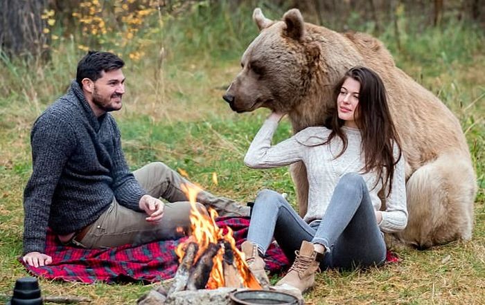 Фотосессия с медведем в лесу
