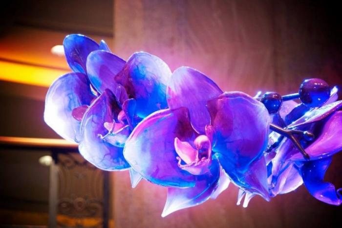 Гигантские цветы из стекла от Джейсона Гамрата