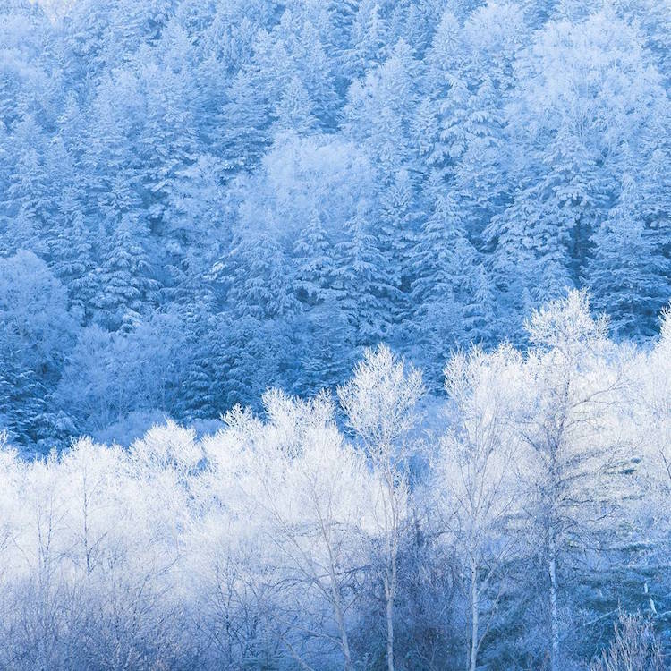 Живописная Япония в фотографиях Такаши Комацубара