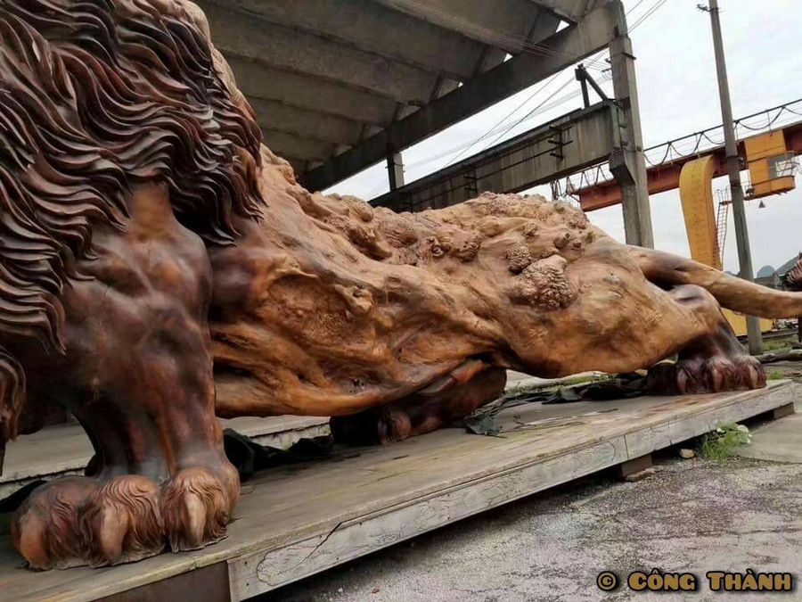 Самая большая в мире скульптура льва из цельного дерева