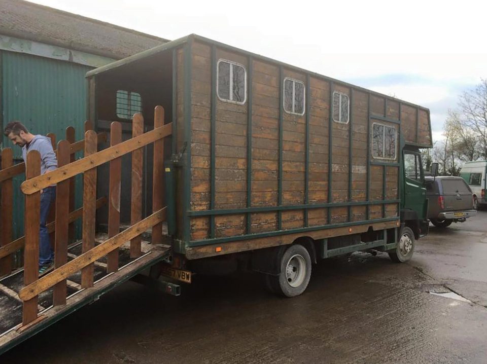 Дома на колесах из фургонов для перевозки лошадей
