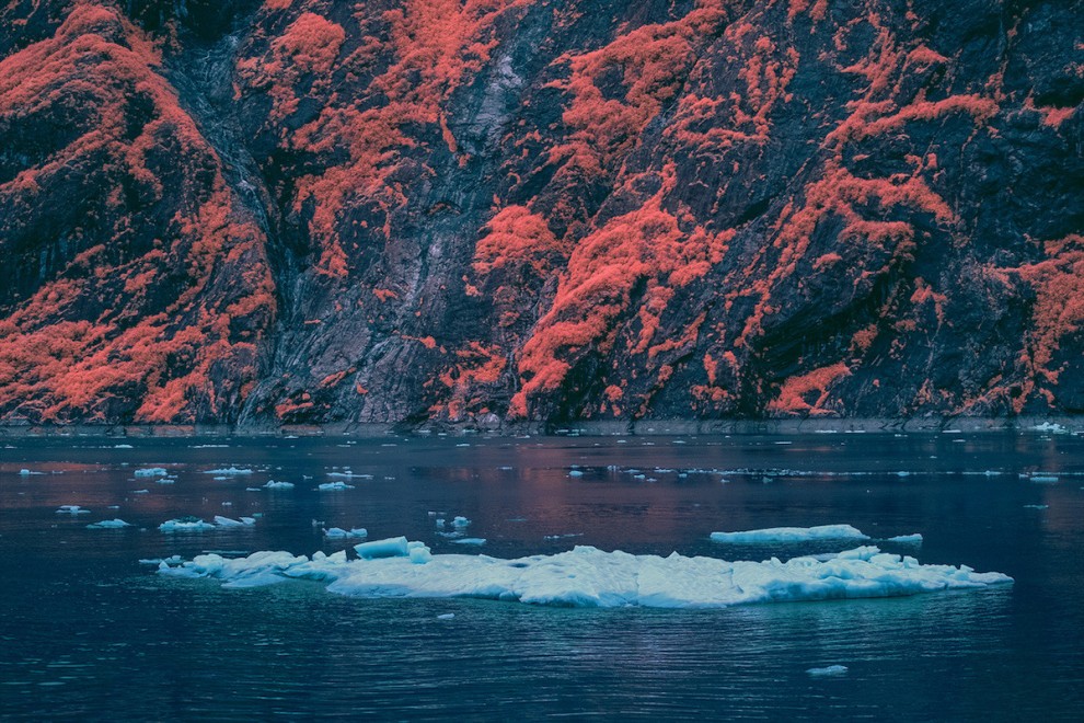 Фьорд Трейси Арм на Аляске в инфракрасном свете