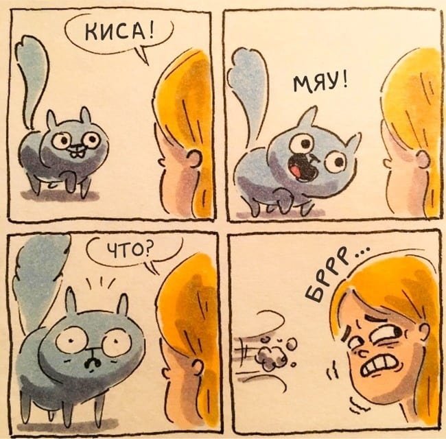 Забавные и правдивые комиксы о жизни с котом