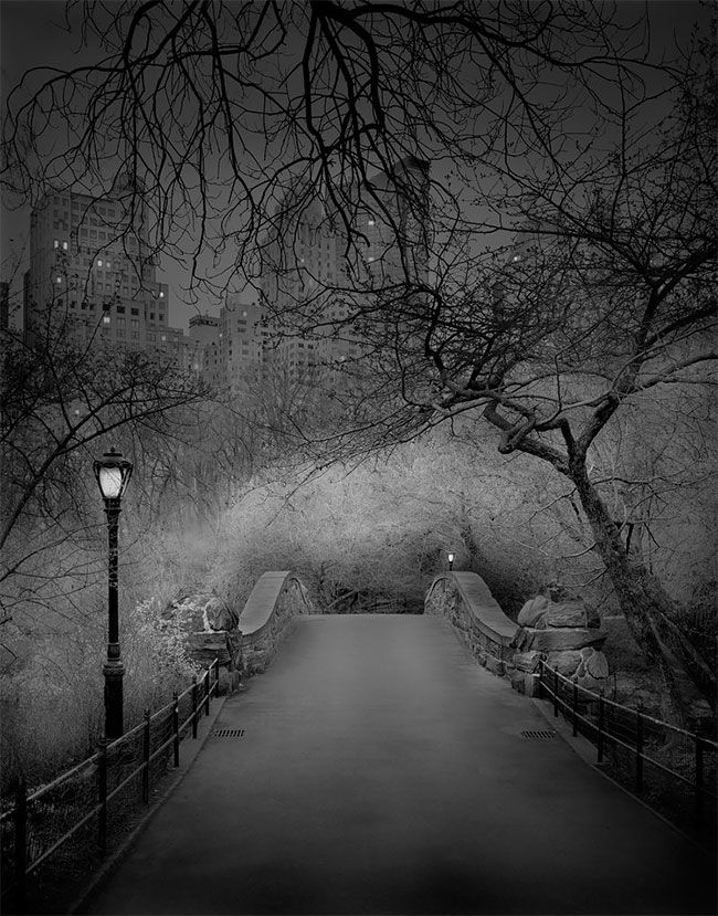 Жутковатая серия снимков ночного Центрального парка в Нью-Йорке