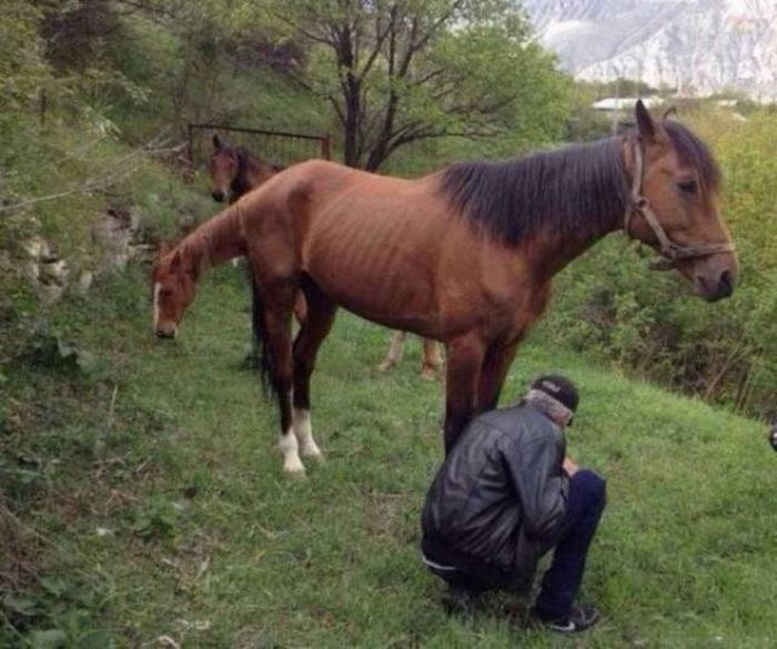 Удачные снимки, на которые нужно посмотреть дважды