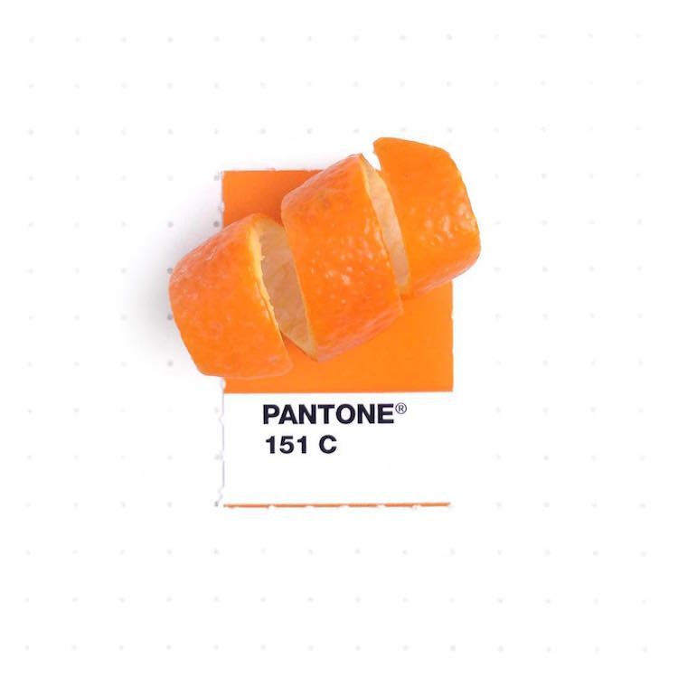 Повседневные предметы с образцами палитры цветов Pantone