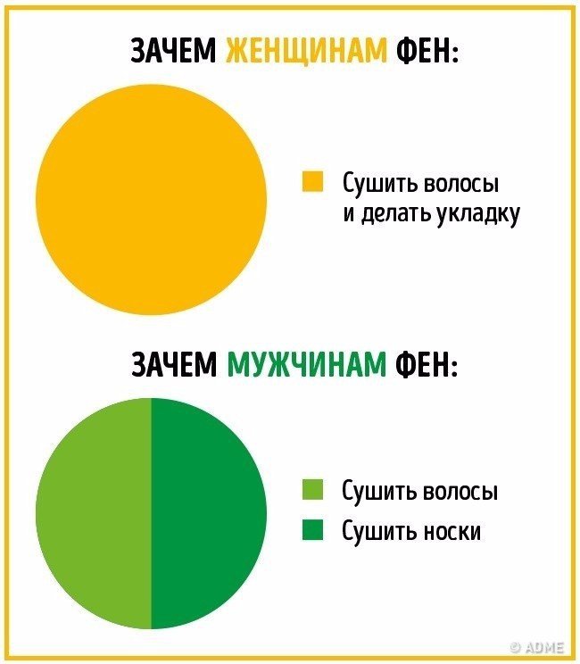 Отличия мужчинам и женщин в инфографике