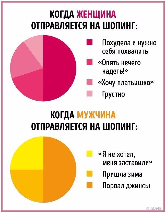 Отличия мужчинам и женщин в инфографике