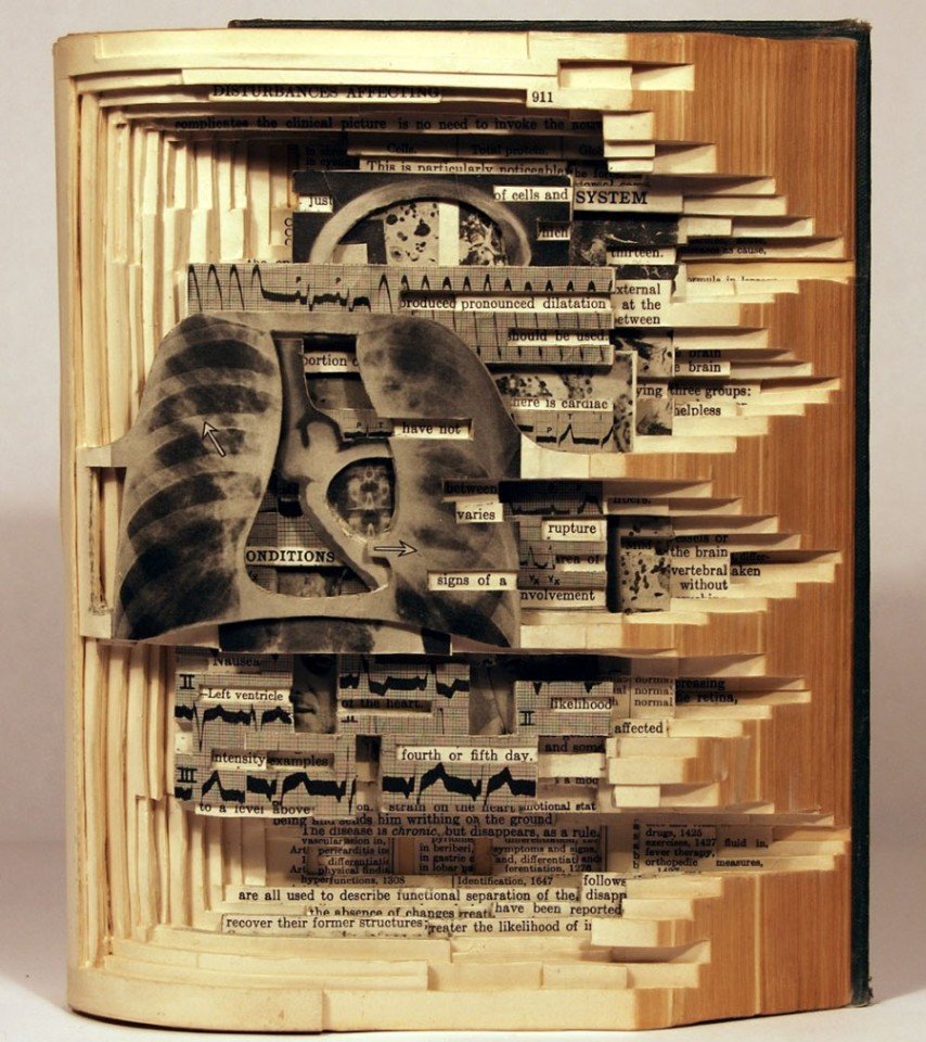 Книжные скульптуры от Брайана Деттмера