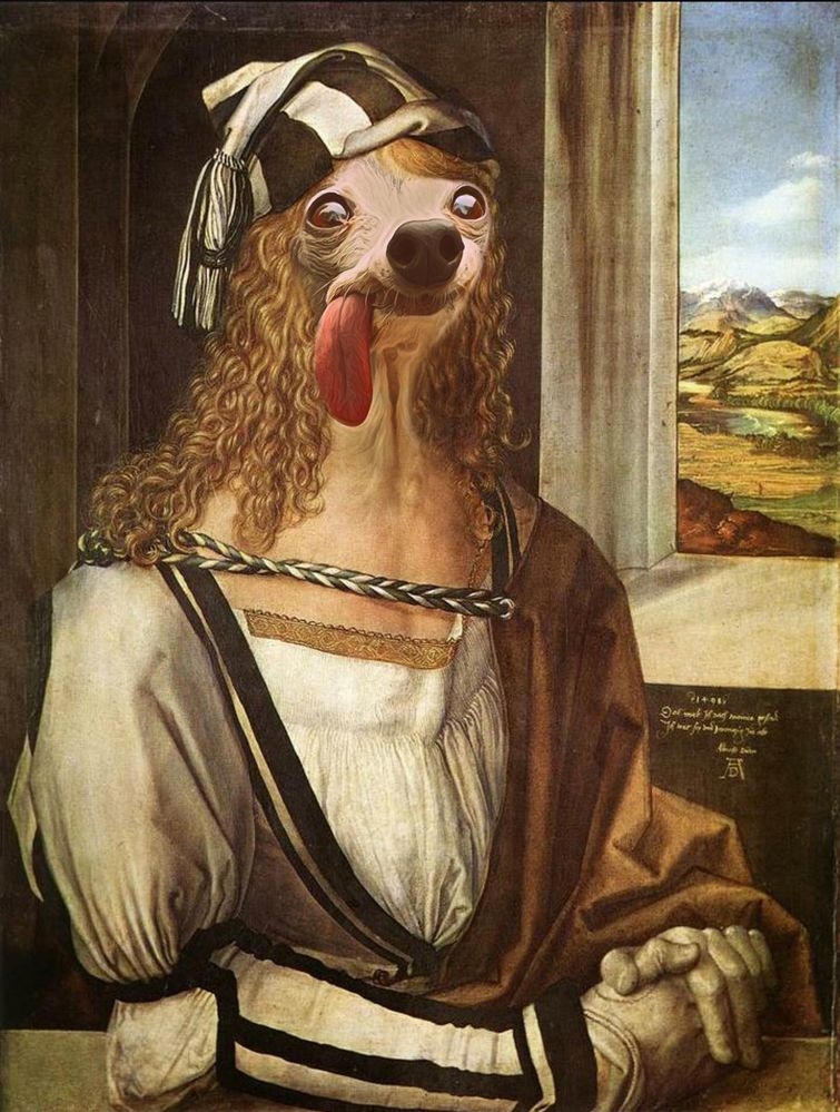 Смешной пес с торчащим языком в фотожабах