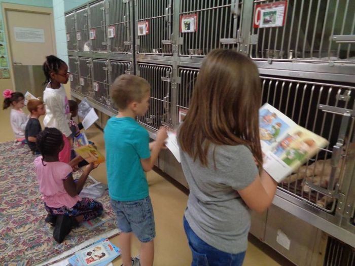 Американские школьники почитали книги животными из приюта