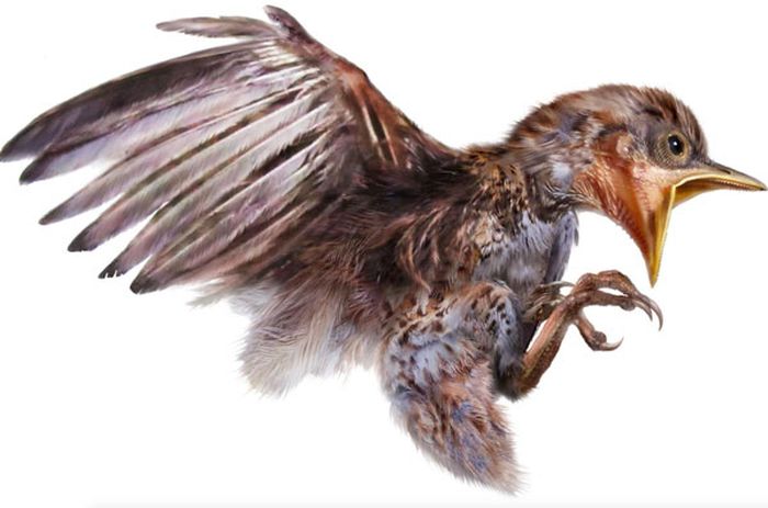 В янтаре обнаружили древнюю птицу