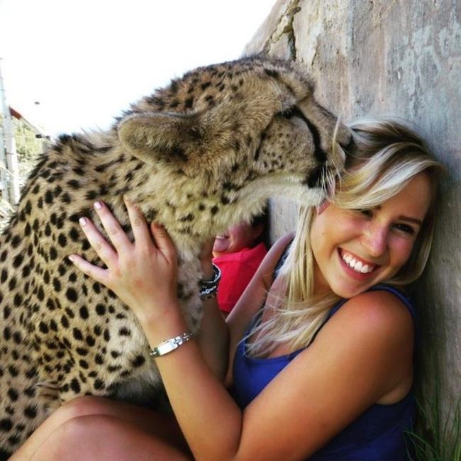 Британка спасла котенка гепарда от охотников за трофеями