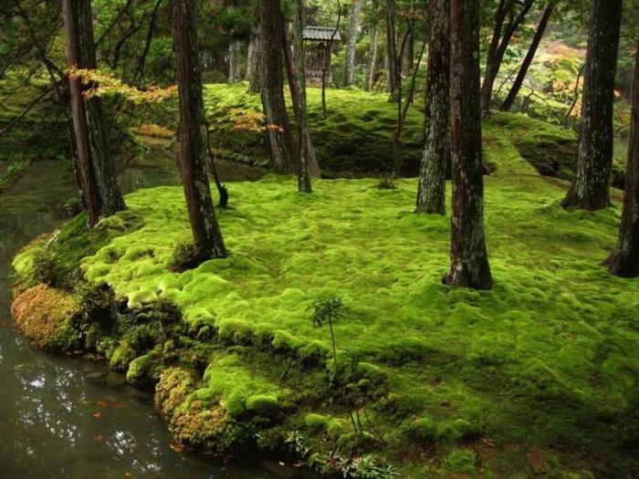 Сад мхов Saiho-ji в Японии