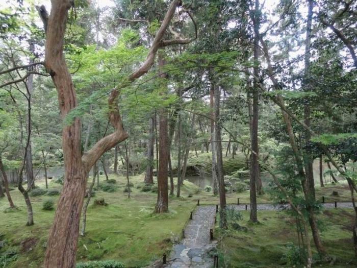Сад мхов Saiho-ji в Японии