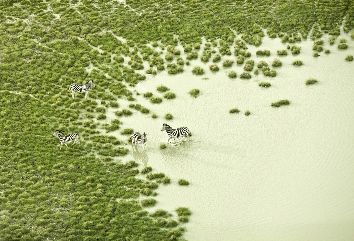 Поразительные аэроснимки Африки от Зака Секлера