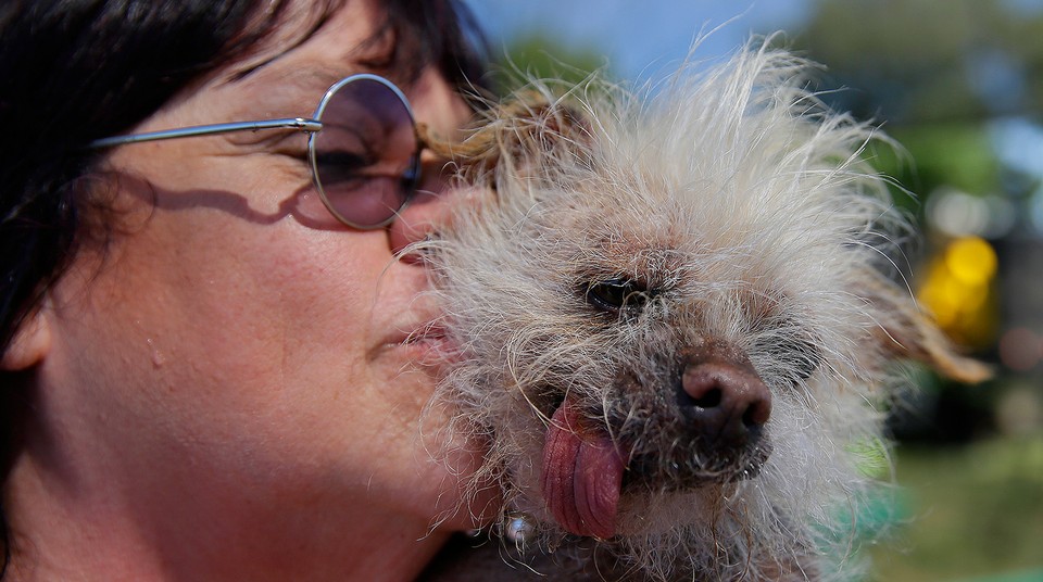 В Калифорнии выбрали самую уродливую собаку в мире