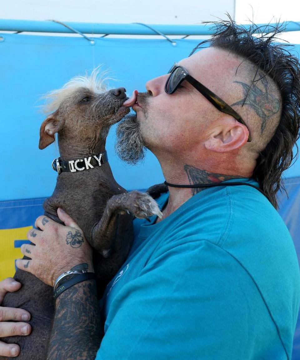В Калифорнии выбрали самую уродливую собаку в мире