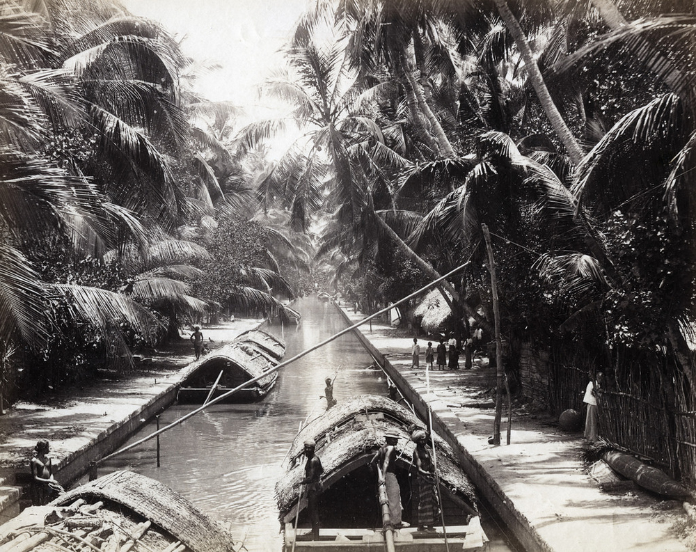 Редкие снимки повседневной жизни Шри-Ланки в 1880-х годах