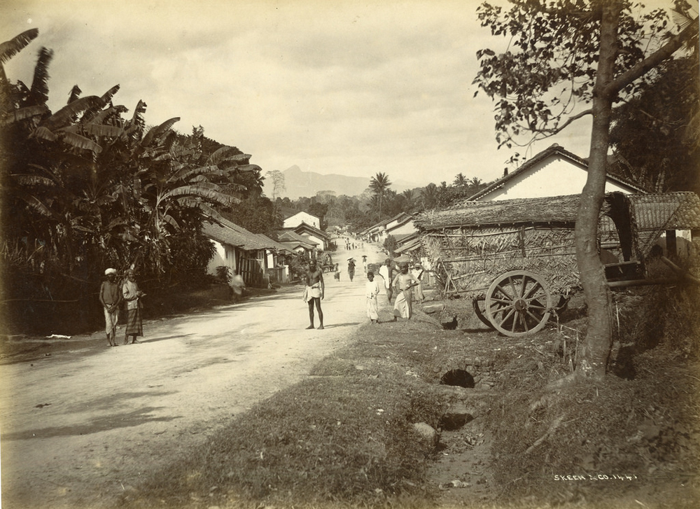 Редкие снимки повседневной жизни Шри-Ланки в 1880-х годах