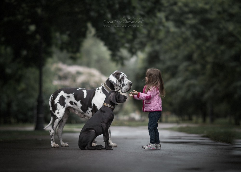 Очаровательные снимки детей с собаками