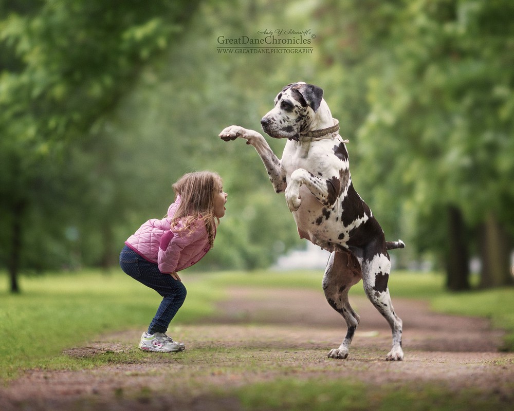Очаровательные снимки детей с собаками