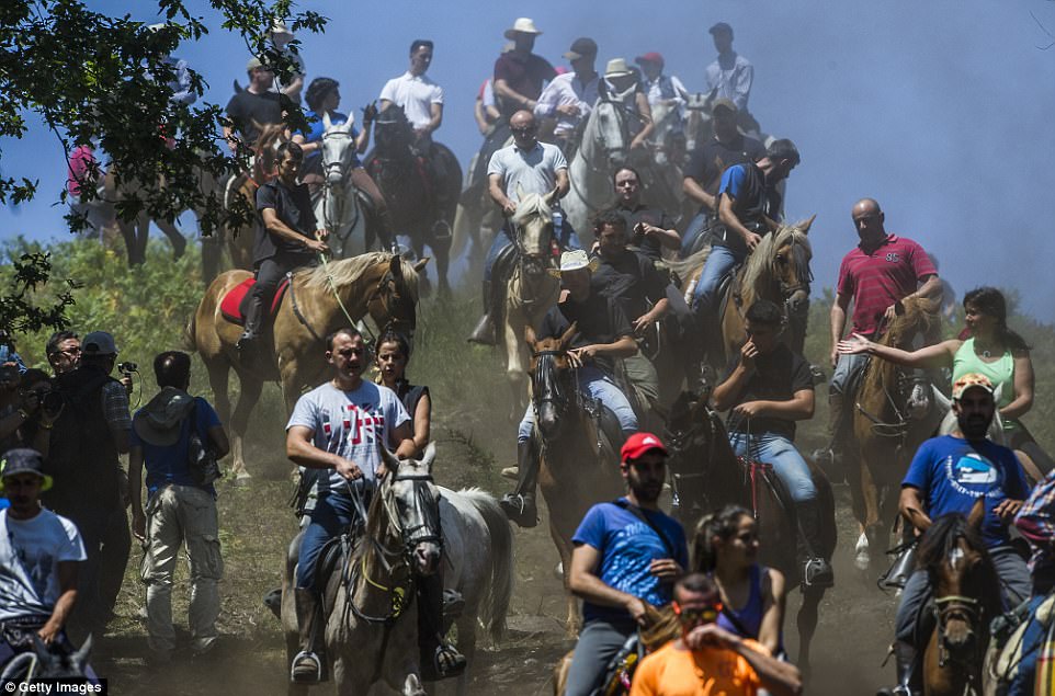 Кони и люди на фестивале Rapa das Bestas