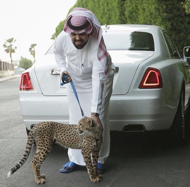 Роскошная жизнь богатой молодежи из Саудовской Аравии