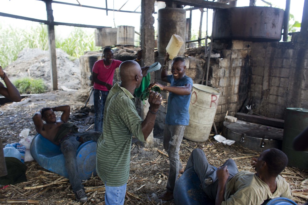 Процесс производства сельского рома на Гаити
