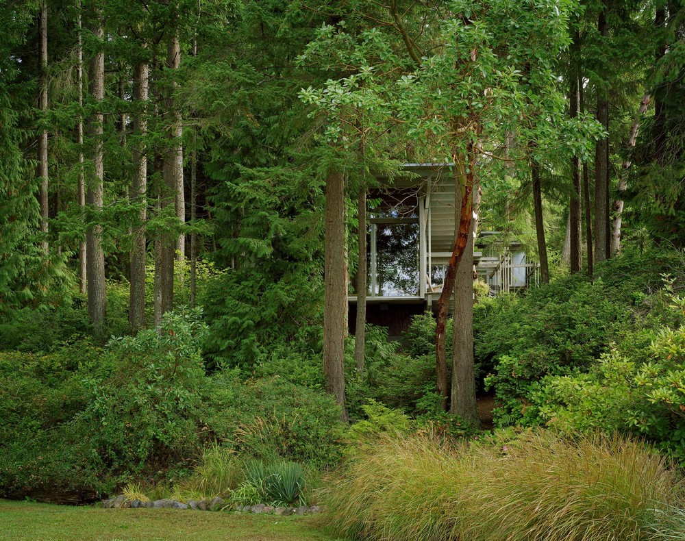 Потрясающий лесной домик в США